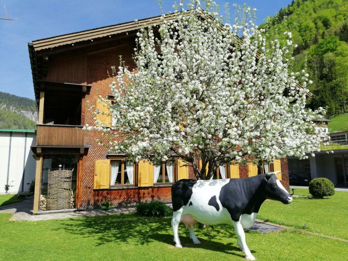 Haus Helena Διαμέρισμα Mellau Εξωτερικό φωτογραφία